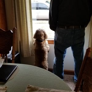 Meet your Posher, Dianne